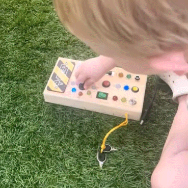 Switch Control - Montessori Board